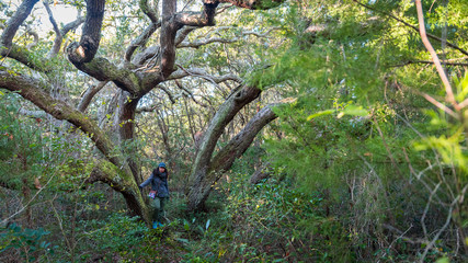 woman standing on large oak tree