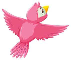 A cute pink bird on white background