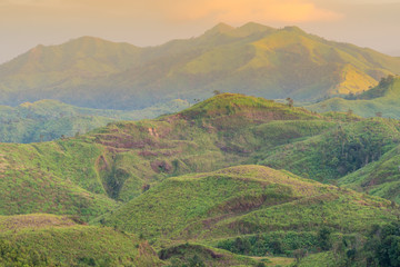 Mountains and forests in the morning.