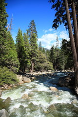 ヨセミテ国立公園