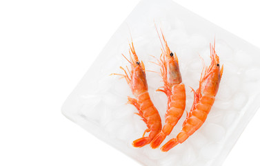 Three boiled shrimps on glass plate filled with ice