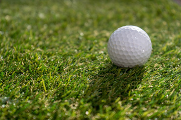Golf ball on the green