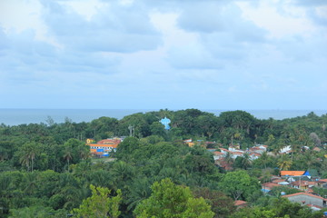 Fototapeta na wymiar Vista do Mirante, Ilha de Boipeba