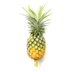 Pineapple (Ananas comosus) on a white background