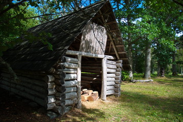 Historic old building in the forest