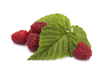 raspberry on a white background. 