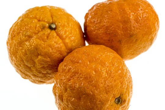 Gold Nugget Mandarin