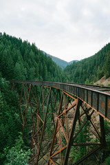 Fototapeta na wymiar Old Rail Bridge, British Columbia, Canada, Exploring Canada, Ladner Creek Trestle 