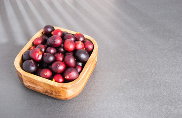 acai from the Amazon (Euterpe oleracea)