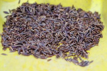 Top view of rice berry rice 