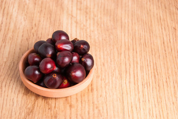 acai from the Amazon (Euterpe oleracea)