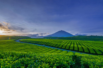 Kerinci Mountain 3.805mdpl