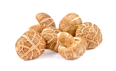 fresh mashrooms isolated on white background