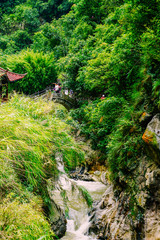 Naklejka premium garden