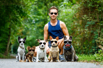 dogs with  leash and owner ready to go for a walk