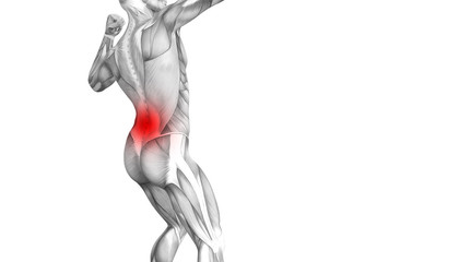 Obraz premium Conceptual back human anatomy with red hot spot inflammation articular joint pain or spine health care therapy or sport muscle concepts. 3D illustration man arthritis or bone sore osteoporosis disease