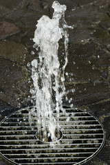 Water fountain in a metal grate.