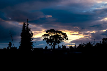 atardecer frio