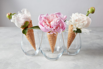 Sweet waffle cones with beautiful coloful peony flowers in glass cups on a gray table.