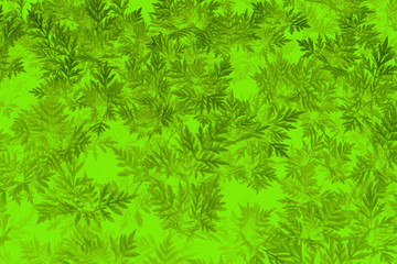 Naklejka na ściany i meble Leaves on a yellow and orange background,texture and wallpaper