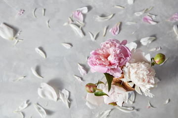 Greeting card of blooming white and pink pions, buds, green leaf in a wafer cones, glass with petals on a gray stone background.