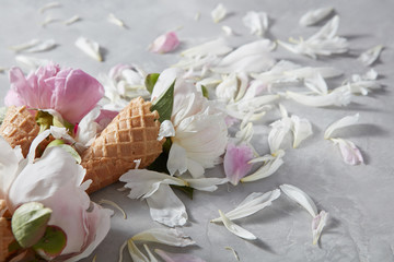 Summer flowers - fresh gentle pink and white peony in a wafer cones with petals on a gray background.