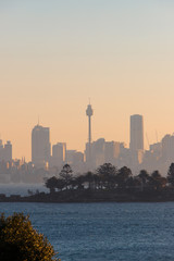 Sydney tower and skyline silhouette during sunset.