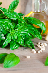 Fresh, green, organic basil on a wooden table. And products for salad: tomatoes, garlic, pine nuts. Photo is made in a rustic style with a blurred background.