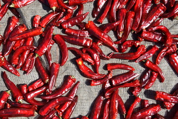 dried chili peppers