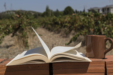 reading book concept for shop. book and coffee on the background at the outside.