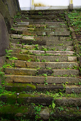 Old mossy stone steps.
