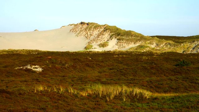 Sylt D&uuml;nen Landschaft - Wanderd&uuml;nen Lister Ellenbogen
