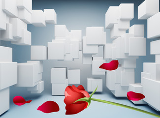 Background with white 3d cubes, red rose and petals