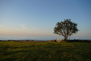 Obraz premium Three in the sunset