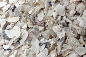 Oyster shell, oyster shell crushed