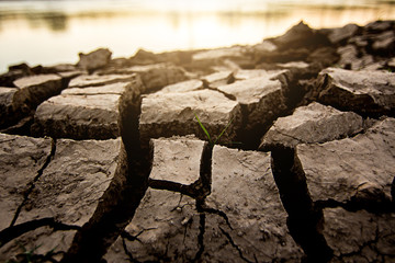Dry land cracking , Without water,Background and Texture