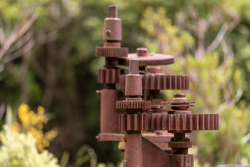 Rusty, derelict gears of the mechanism for raising an irrigation gate.