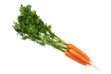 carrots on white background, carrots with a tops and leaves isolated. Nature carrot
