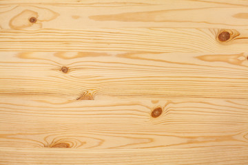 Wood texture pine