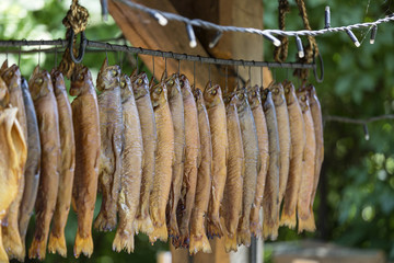 Some fisches of smoked trout hanging on a rope in restaurant , outside.