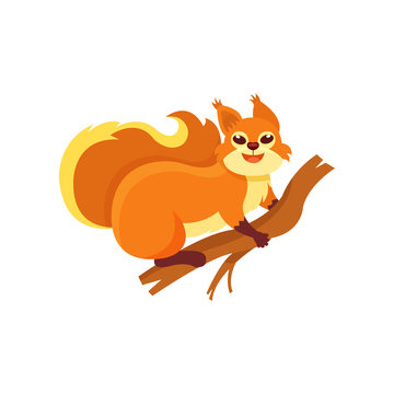 Funny red squirrel sitting on wooden branch. Small forest rodent with fluffy tail and cute muzzle. Flat vector illustration