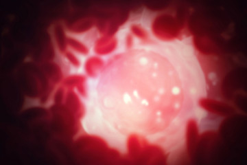Blood Cells with nucleus on scientific background
