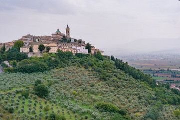 Fototapeta na wymiar Italian countryside landscape of olive groves and Trevi