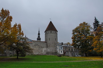 Fototapeta na wymiar Autumn sketches at the fortress wall in Tallinn.