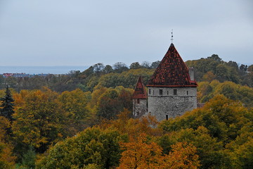 Obraz premium Autumn sketches at the fortress wall in Tallinn.