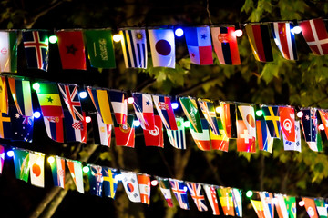 flags with night sky