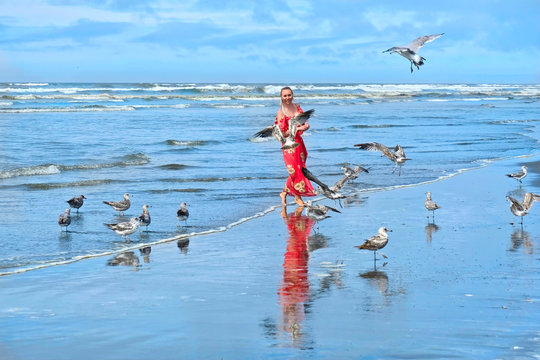 Woman and seagulls birds on beach by the sea.  Ocean Shores in Olympic Peninsula.  Seattle. Washington. United States of America.
