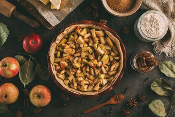Homemade Apple pie with cinnamon and pecan