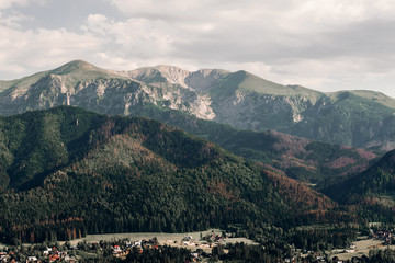 Fototapeta premium Mountains with forest