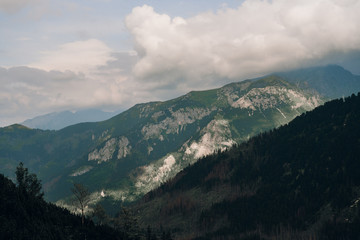 Mountain Wallety in Poland